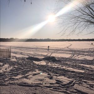 Meet your Posher, Tess